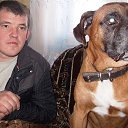 ���� ����, ������, 40 ��� - ��������� 8 ����� 2025 � ������ ���� ����������