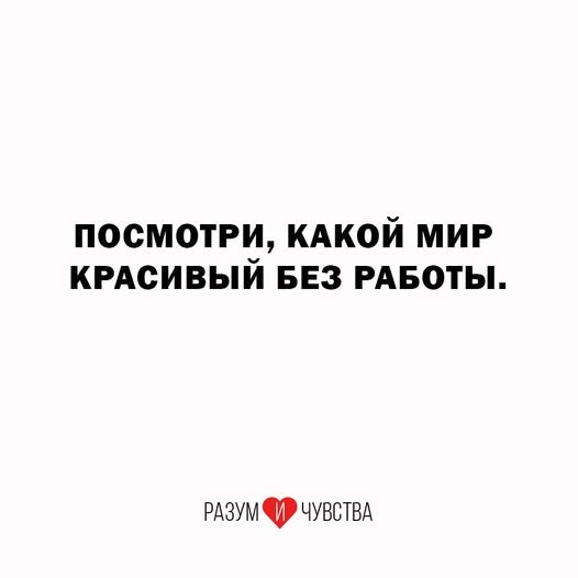 ���� - 19 ���� 2026 � 18:43