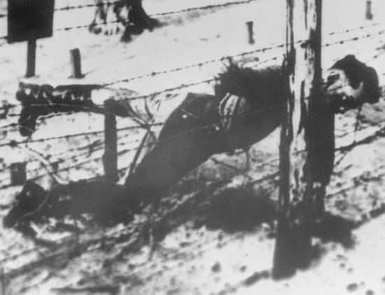 :)        (1907-1943),   .. , ...