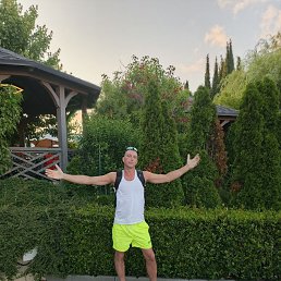 ������, 37 ���, ������