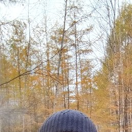 , 37, 