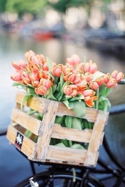 ������� ������ ������ - 6 ������ 2024 � 06:43