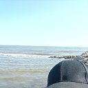 ���� ����, �������������, 55 ��� - ��������� 1 ������ 2026 � ������ ���� ����������