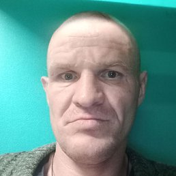 ������, �����, 41 ���