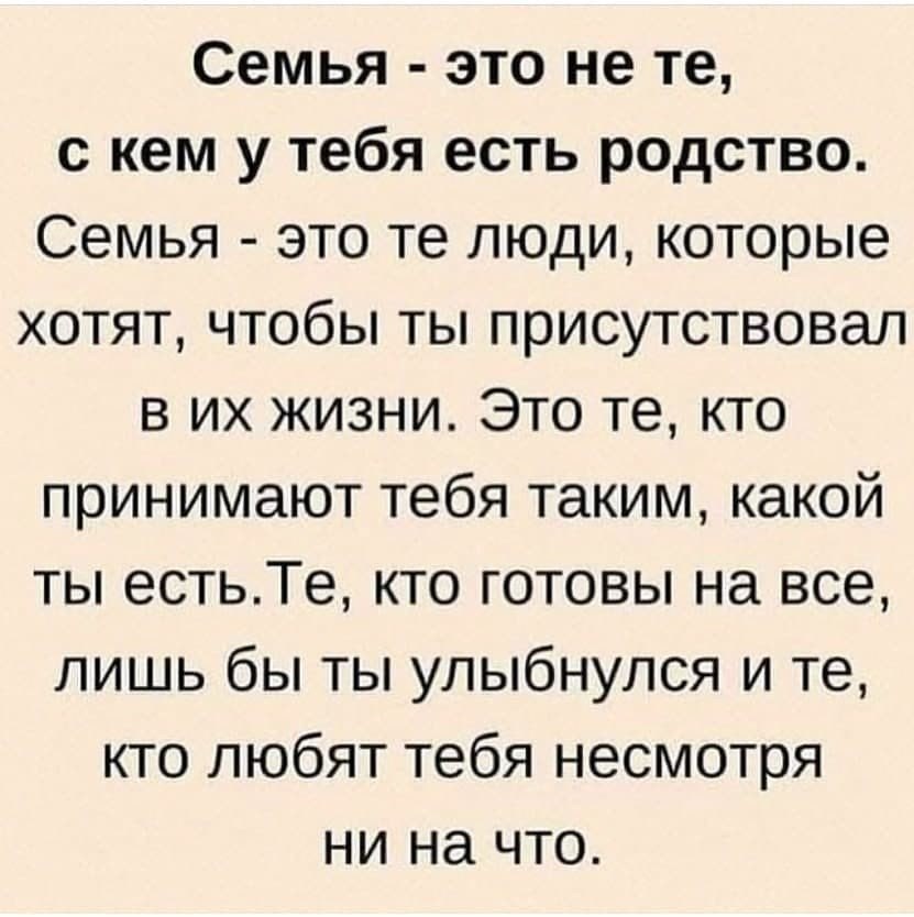   - 14  2025  11:41