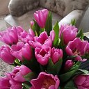 ���� ����, �����������, 56 ��� - ��������� 4 ����� 2026