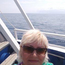 , 58, 