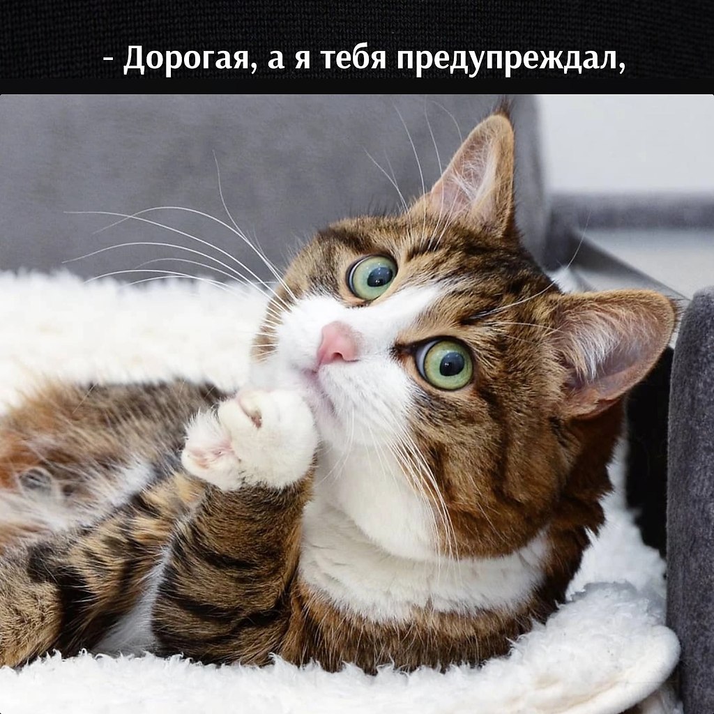       - 3  2025  12:40 - 3