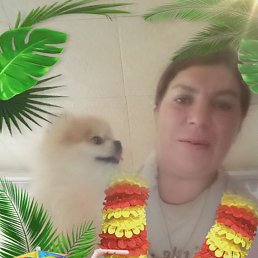 , 38, 