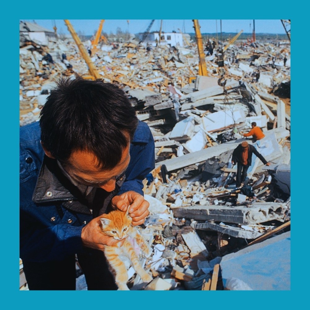 ������ �������, ������������ ����. ������� ������� ������� ������.� �������� ������������� ������ ... - 2