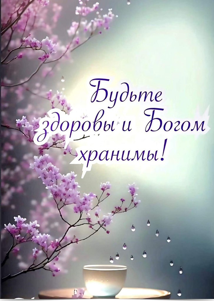 ----------------  ----------------