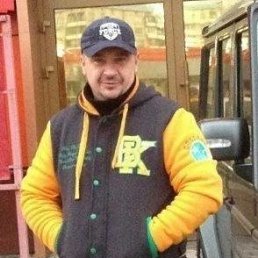 , 51, 