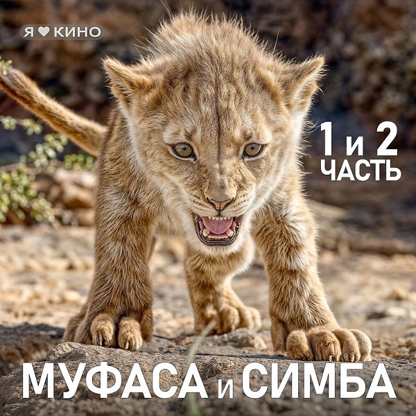 a ye o KOPO 6+.(2019) 4(2024)