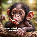 ���� ��������, ���������, 63 ���� - ��������� 27 ����� 2025 � ������ ���� ����������