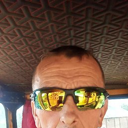  , 41, 
