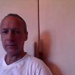 , 65 , 