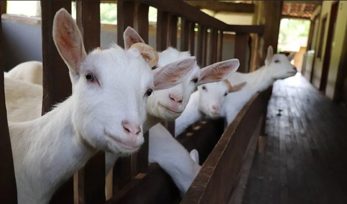 � ������ � � ���� � �����������, 1 �������, �������� ���������, ��������� � ���������� ������� ����� ...