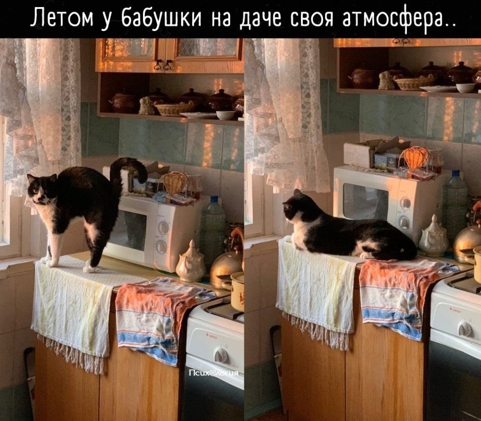 ���������� - 13 ������� 2026 � 23:35
