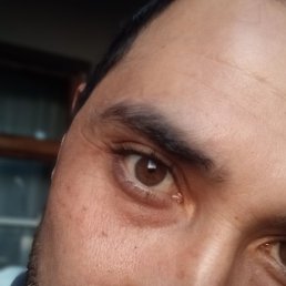 �����, �������, 37 ���