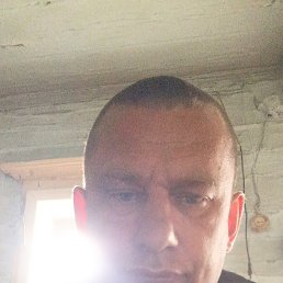 , 43 , 