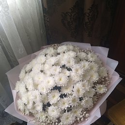 ���� �������, �����, 52 ���� - ��������� 29 ������ 2026