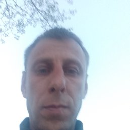 ���� �������, ������, 43 ���� - ��������� 30 ������ 2024