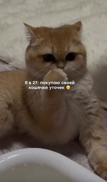 �� ��� ������ ���� ����! - 2