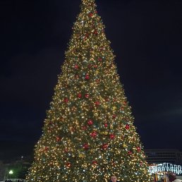 ���� ������, ������, 46 ��� - ��������� 21 ������ 2024