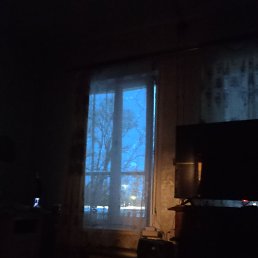 ���� ����, ������, 52 ���� - ��������� 19 ������� 2023