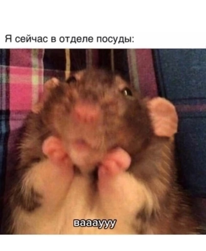      - 2