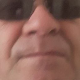 �����, ����, 65 ���