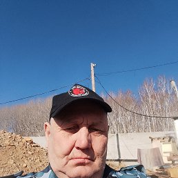 , 61, 