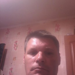 , 44, 