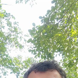 , 49, 