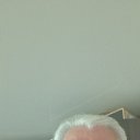 ���� ��������, ���������, 64 ���� - ��������� 26 �������� 2025