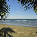 ���� Jj (Katerina Kittycat ), ������ - ��������� 29 ������ 2024 � ������ ������ ��������