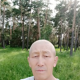 , 53, 