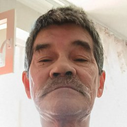 �����, ������, 66 ���