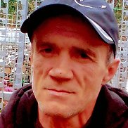 , 53 , 