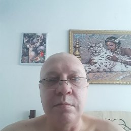 , 52, 