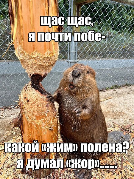 ��������� ���� �� ���������� ������! ������ �� ������� ����������! �� 27 ��������� ������ �������� ... - 3