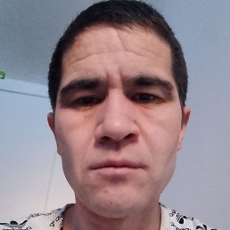 ����, �����-���������, 40 ���