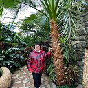 ���� ������, ������, 64 ���� - ��������� 23 ������� 2025