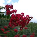 ���� �������, ������, 60 ��� - ��������� 19 ������� 2025 � ������ ����� ������������, ��������