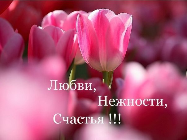  ,    . - 5  2024  19:57