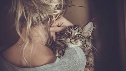 ...����... - �������..����� ������ �������