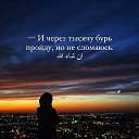 ���� Z, ���������, 45 ��� - ��������� 3 ��� 2026 � ������ ���� ����������
