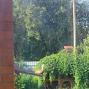 ���� ������, ������� �����, 69 ��� - ��������� 23 ��� 2024