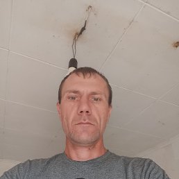 , 36, 
