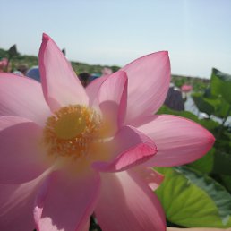 ���� �������, �����, 50 ��� - ��������� 6 ������� 2024